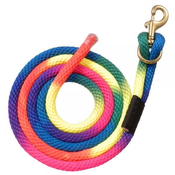 Rainbow Führstrick mit Brass Bolt Snap