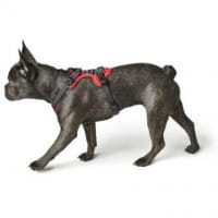 Hundegeschirr Divo