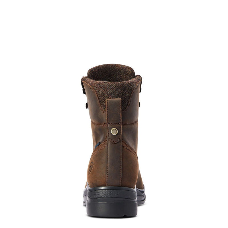 Ariat chukka women's deals