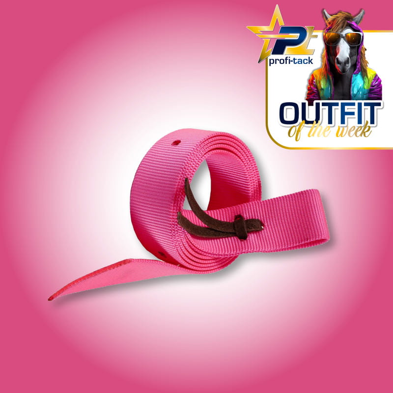 Mustang Nylon Tie Strap Color pink