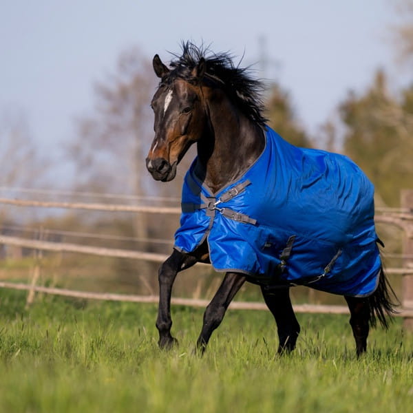 Outdoordecke WINDCHILL 100