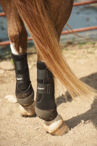 Classic Equine Flexion Boots by Legacy2 hind