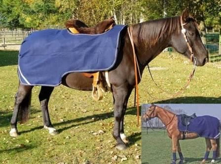 Busse Ausreitdecke Fleece Trainer III
