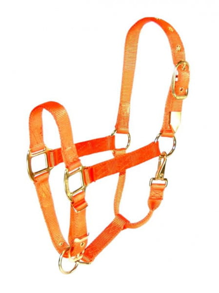 Hamilton Halfter Quality - Breite 2,5 cm