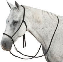 Bitless Bridle