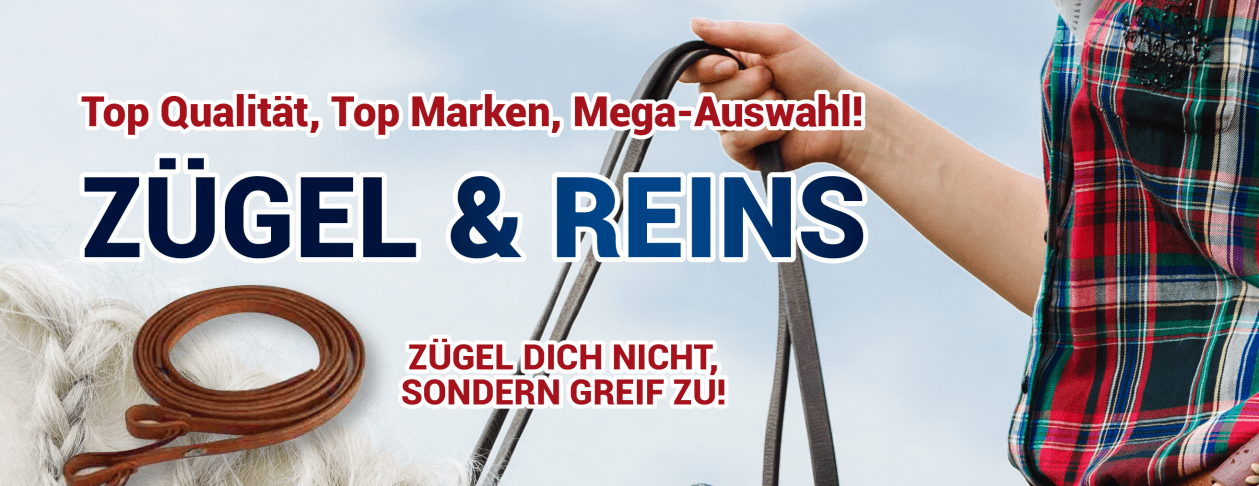 Westernzügel