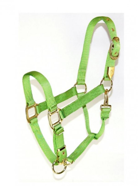 Hamilton Halfter Quality - Breite 2,5 cm