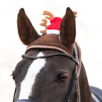 Weihnachtsmütze mit Geweih