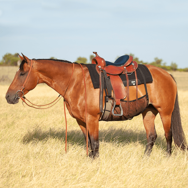 Cashel Quiet Ride Belly Guard