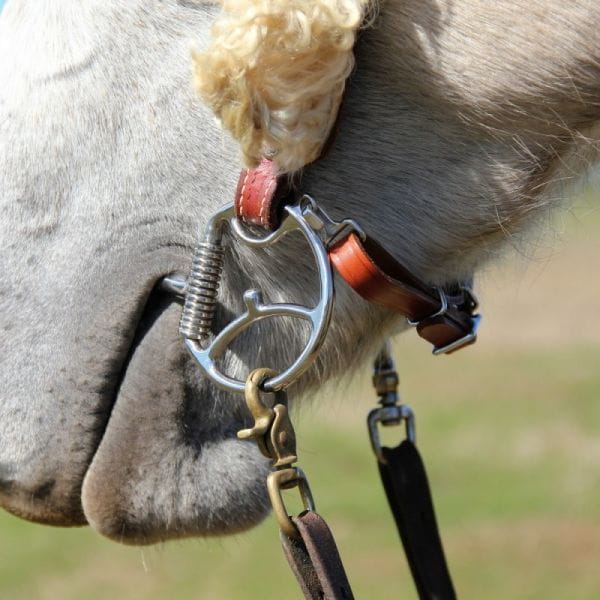 Myler Western Dee mit Haken MB 03 Stufe 1