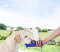 Reisetrinkflasche für Hunde