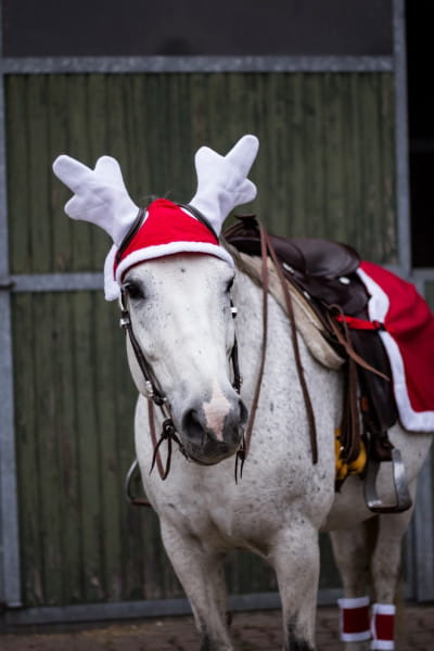 Christmas Rentier Ohrenhaube