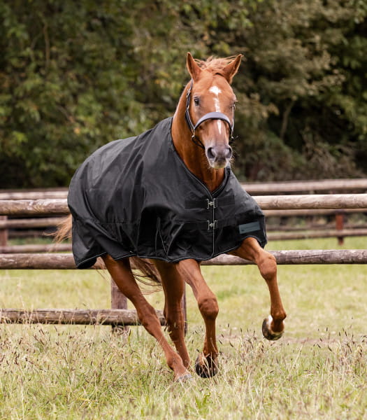 NORDIC Outdoordecke 50 g