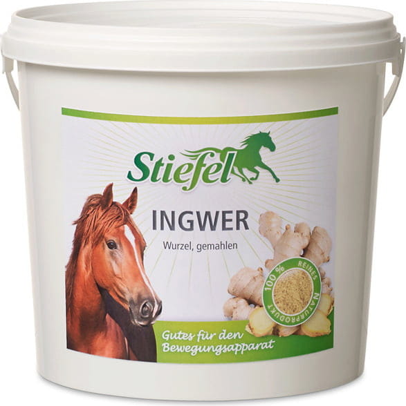 Stiefel Ingwer, gemahlen, 1kg