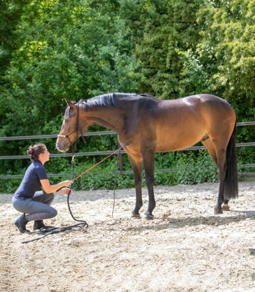 Carrot Stick - Contact Stick Der verlängerte Arm in 100cm oder 120cm