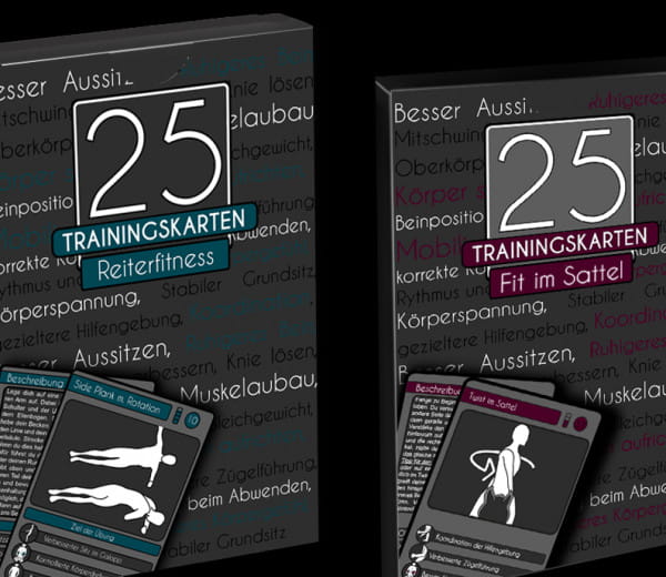 25 Traingskarten Set für Reiter