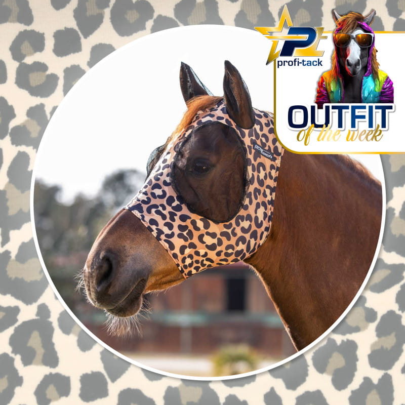 Pro-Tech Lycra Anti-Fly Mask with Ears Colorfull Leopard