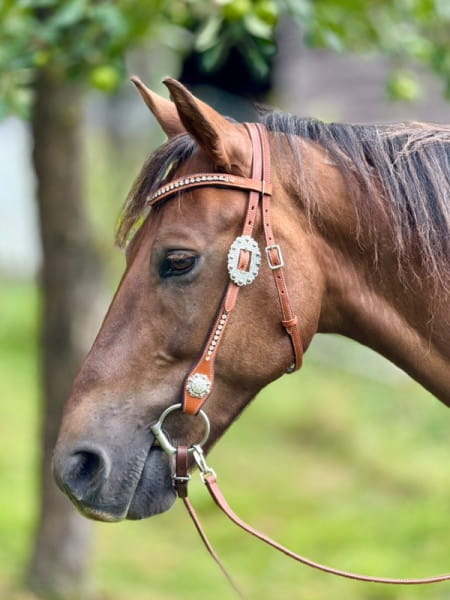Browband waved Kopfstück SN chestnut Sparkling