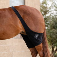 ProfChoice Stifle Ice Wraps